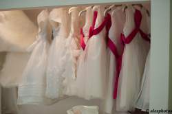 Nos prestations sur le secteur de Albi 81000 Tarn